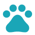pets